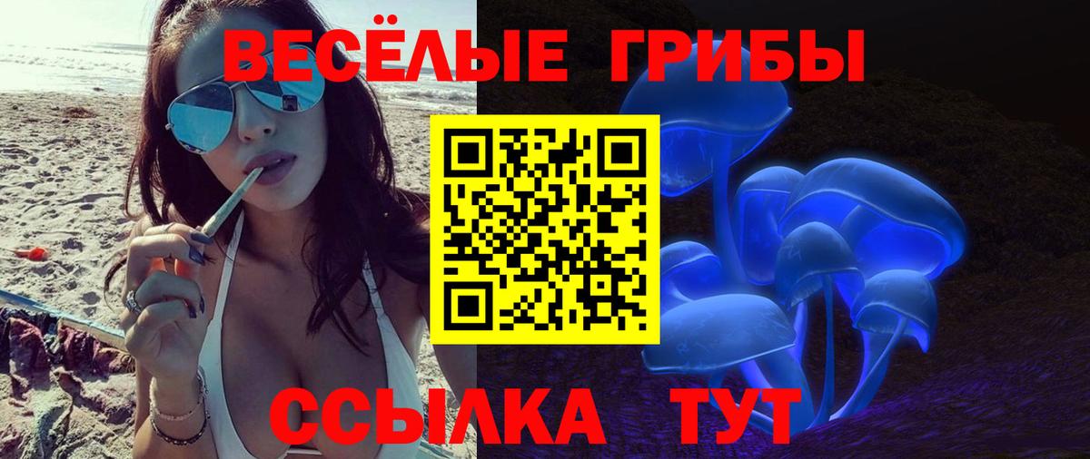 Галлюциногенные грибы Cubensis  Вход с VPN  Мелеуз  Псилоцибиновые грибы Cubensis 